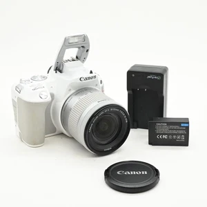 Kit de cámara digital Canon EOS Rebel SL2 24,2 MP SLR con lente zoom STM 18-55 mm #642 - Imagen 1 de 11