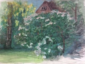 Werner Knoth Rhododendron 1974 Original Zeichnung signiert Unikat Einzelstück - Bild 1 von 1