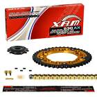 Kettensatz Honda Cbr 600 F (Pc31) 95-96, Xam X-Ring, Gold, Gummiert, Stealth