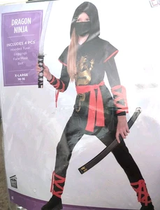 Disfraz de Halloween Dragón Ninja Unisex - Niño - Adolescente XLarge 14-16 - Imagen 1 de 2
