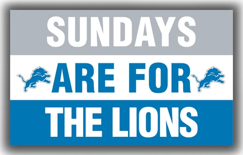Detroit Lions Team Sundays Are For The LIONS Flag 90x150cm 3x5ft Banner Cover