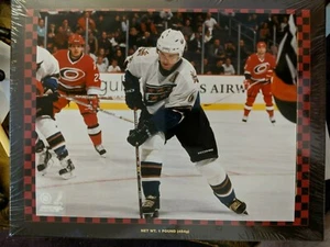 Jaromir Jagr Licensed 8X10 Color Photo WASHINGTON CAPITALS - Picture 1 of 1