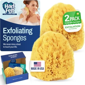 Caja de belleza de esponja marina exfoliante HartFelt - 2 esponjas marinas de hierba 4 pulgadas y bolsa de malla - Imagen 1 de 7