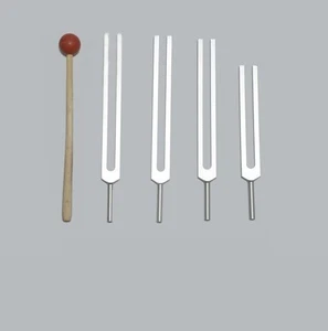 4 Piece Energy Practitioner Tuning Fork Set + Mallet +fast ship Healing Therapy - Photo 1 sur 1