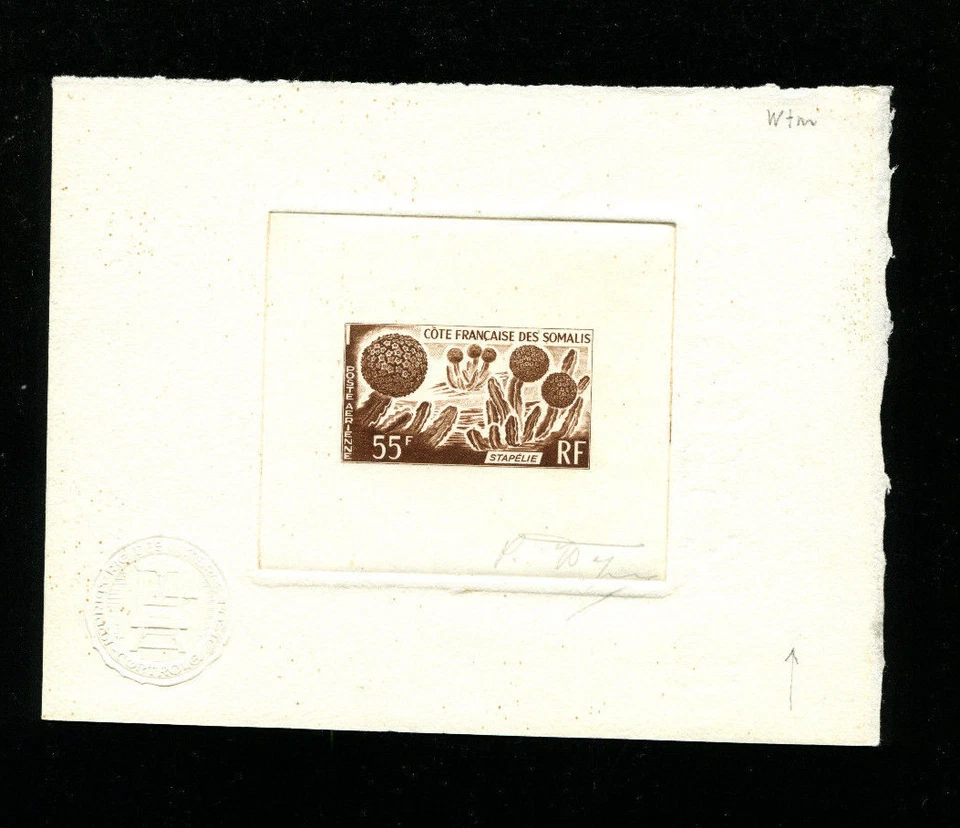 Somali Coast 1966 Flora C41 Medicinal Plants Signed Sunken Die Artist Proof - Изображение 1 из 1