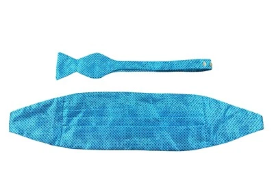 Conjunto de pajarita de seda pura con patrón azul de zanahoria y Gibbs para hombre Foto 1 de 4