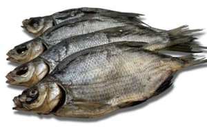 3 kg Лещ Brachse getrocknet gesalzen Fisch Snack KASACHSTAN n. ausgenommen - Bild 1 von 1