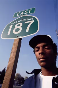 Snoop Dogg Neva Left Hip Hop Gangsta Rapper Art Wall Room Poster - POSTER 20x30 - Picture 1 of 4