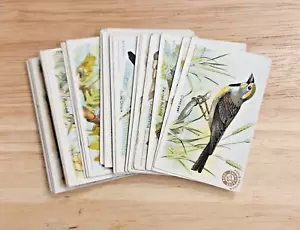 Carte Utili Birds of America 1922 terza serie set completo di 30 braccia e martello - Foto 1 di 15