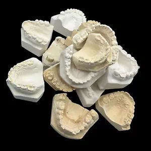 Vintage Plaster Dental Mold - Teeth Tooth Mold - Creepy Oddity - Dental Oddities - Foto 1 di 18