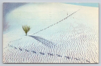 Ripples of the White Sands National Monument Alamogordo NM Vtg Postcard 1940s - Image 1 of 3
