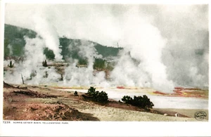 Norris Geyser Basin Yellowstone Park Detroit Publishing Divided Back Postcard - Picture 1 of 2