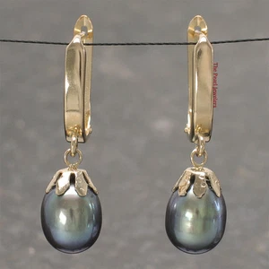 14k Solid Gold Euro Back Black Pearl Dangle Earrings - Picture 1 of 2