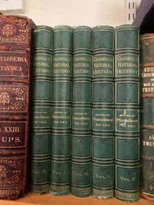 Cassell's Natural History 1881 - Picture 1 of 6