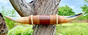 CORNA DI TORO MANZO MONTATE CORNO MUCCA RAGAZZO CORNO LUNGHE 16" punta a punta LUNGA #16 - Foto 1 di 6