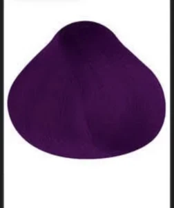 Pravana ChromaSilk Vivids Everlasting VIOLET REIGN Permanent Hair Color 3oz - Picture 1 of 3