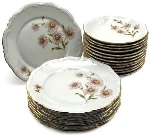 20 pezzi Mitterteich DAISY BELL piatti pane vintage e ciotole bacche Baviera/Germania - Foto 1 di 24