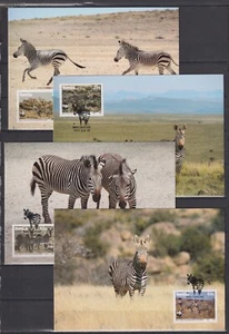 F2005 Namibie ,Namibia 1991 - Maxicards - Dieren/Animals/Tiere ,Zebra - WWF - Imagen 1 de 1