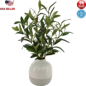 14in Indoor Artificial Olive Plant Compact Design Two-Tone Ceramic Vase New - Picture 1 of 4