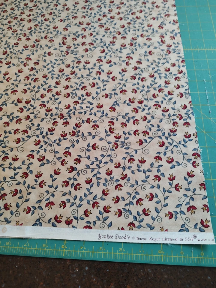 Doodle WOF Yankee de 20" de Teresa Kogut para importación de South Seas Foto 1 de 1