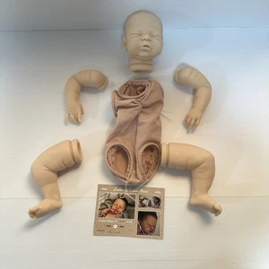 Leelou by Cassie Brace Reborn Doll Kit ~ SOLD OUT LE /620 ~ New & Unpainted - Picture 1 of 6