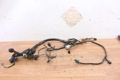 Arnés/cableado principal Arctic Cat M8 2007 Foto 1 de 4