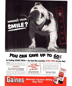 1951 Gaines Mahlzeit Hundefutter Vintage Druck Werbung American Bulldog 50er Wandbild - Bild 1 von 2