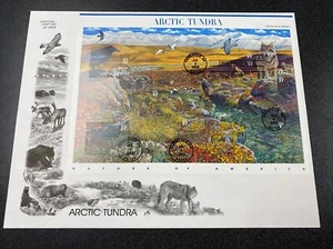 US 3802 Arctic Tundra ON BIG ArtCraft ENVELOPE AS ISSUE 2003 - Picture 1 of 5