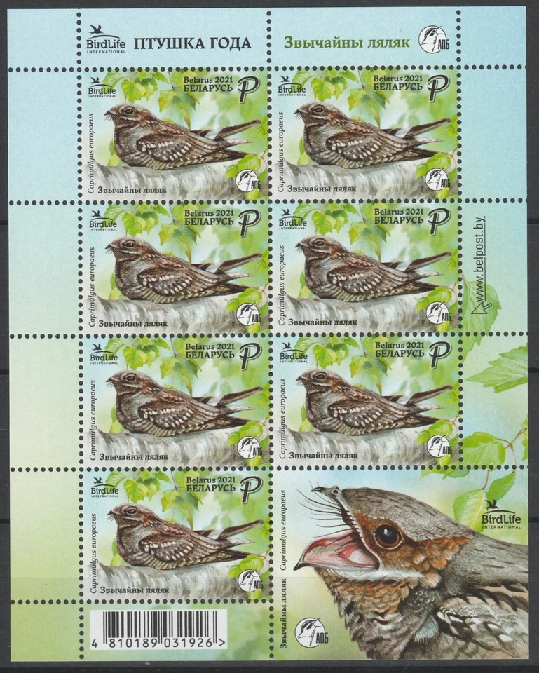 Folha MNH Birds, Nightjar Eslovênia 2021 - Imagem 1 de 1