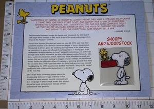 SNOOPY & WOODSTOCK CHARLIE BROWN LUCY PEANUTS WILLABEE & WARD PATCH - Bild 1 von 2