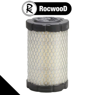 Briggs & Stratton Air Filter Fits 594201 796031 591334