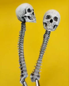 Menschliche Schädel mit Wirbelsäule ideal für 1:12 Maßstab Horror Diorama Puppenstube (2er Set) - Bild 1 von 4
