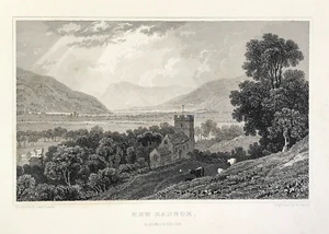 Vista de Nueva Radnor Gales Radnorshire impresión grabada original 1830 - Imagen 1 de 2