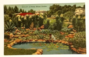 A Pretty Miami Garden Flowers Plants Pond FL Linen Curt Teich UNP Postcard 1940 - Picture 1 of 2