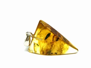 AMBER PENDANT 2 INSECTS Gift Insect BALTIC AMBER Bead Silver 925 2,2g 17931 - Picture 1 of 12
