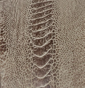 Straußenbeine Hautleder, dunkle Asklepien (Vintage Mokka) - Bild 1 von 2