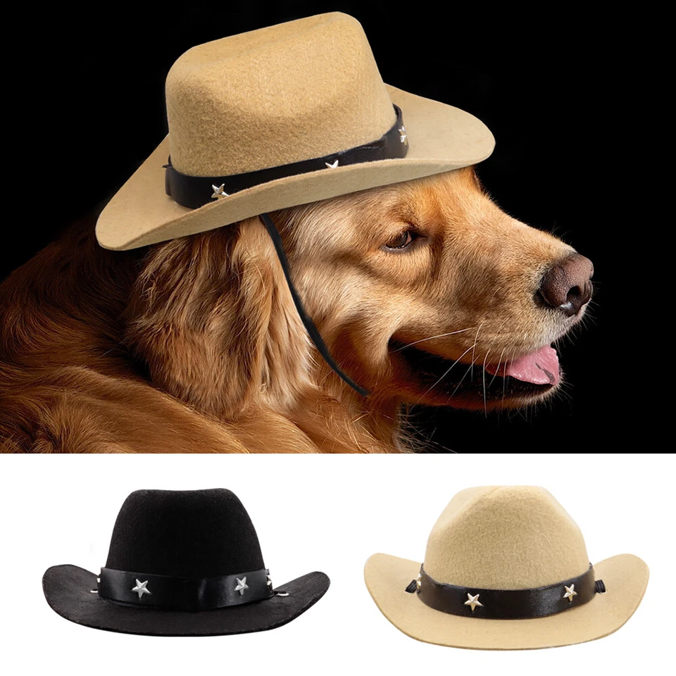 Sombrero para Perro Mascota Vaquero Gorra para Sol Juegos con disfraces Fiesta Show Sombrero para Perros Pequeños Medianos Grandes Foto 1 de 4