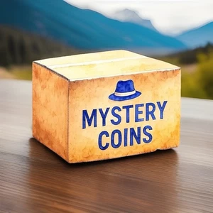 Mystery Box US coins, silver coins, copper, silver, and more! - Picture 1 of 2
