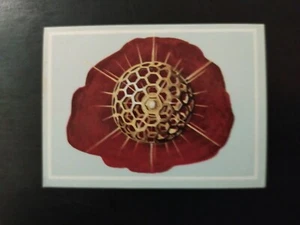 FIGURINA VITA E COLORE ED. MODERNA 1969 n 15 OTTIMA MAI ATTACCATA - Bild 1 von 2