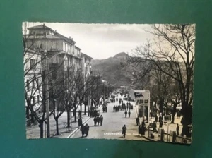 Cartolina Lagonegro - Viale Roma - 1960 - Foto 1 di 2