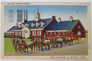 1943 NEW GENESEE STABLES Vintage Postcard 12-Horse Team Brewing Co. Rochester NY - Picture 1 of 3