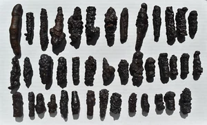 WHOLESALE Prophecy Stone Hematite Pseudomorph from Egypt  41 pcs 1 kg  # 5633 - Picture 1 of 16