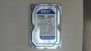 Western Digital Caviar Blue 250GB Interne 7200RPM 3,5" HDD WD2500AAKS - Bild 1 von 3