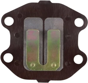 CONJUNTO DE VÁLVULAS DE BLOQUE DE LENGÜETA PARA 1981-2010 PW50 PW 50 BV01 - Imagen 1 de 1