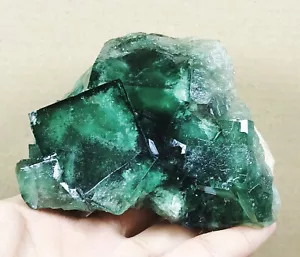 Seltene größere Partikel transparent grüner Würfel Fluorit Kristall Mineral Probe - Bild 1 von 11