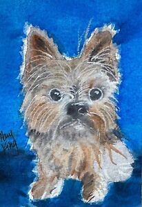 Watercolor ACEO Original Painting by Mary King - Yorkie - Yorkshire Terrier dog