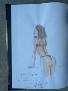 CHETVILLE SIENNA TOME 1 EO EN ÉTAT NEUF AVEC DÉDICACE - Foto 1 di 7