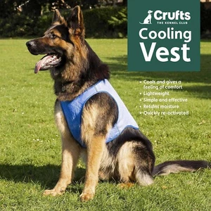 Dog Cooling Vest Crufts the Kennel Club Pet Cooling Vest Jacket Medium to Large - Picture 1 of 2