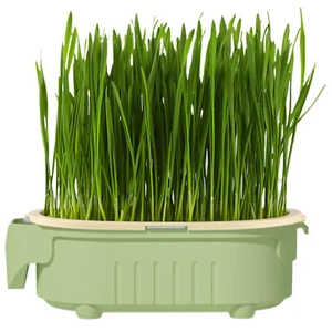 Cat Grass Planting Box Cat Grass Growing Box Soilless Hydroponic Planter Tray - Picture 1 of 12