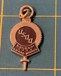 USAA NATIONAL AWARD WINNER BALFOUR GOLD TONE PENDANT - Picture 1 of 3